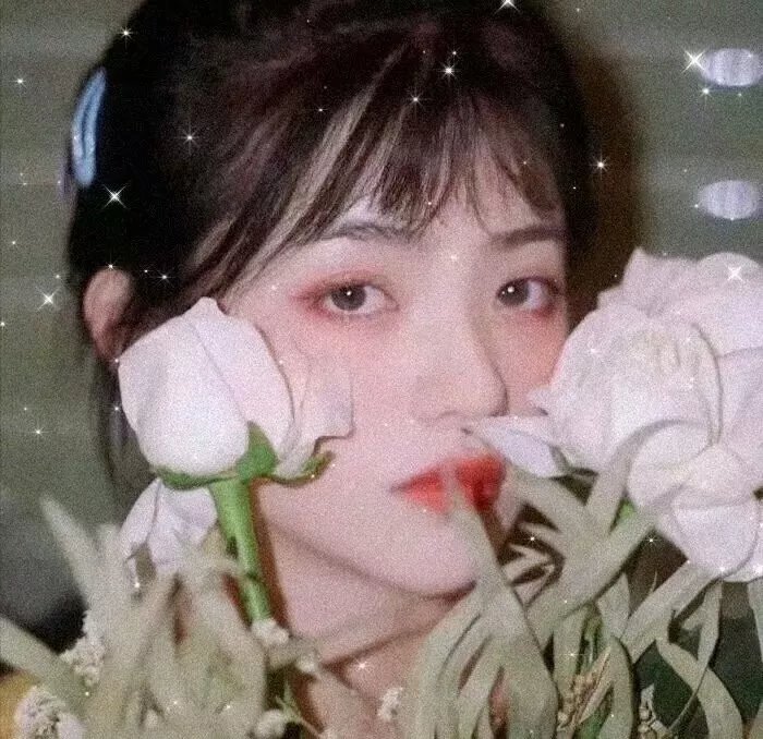 明天我不是羔羊