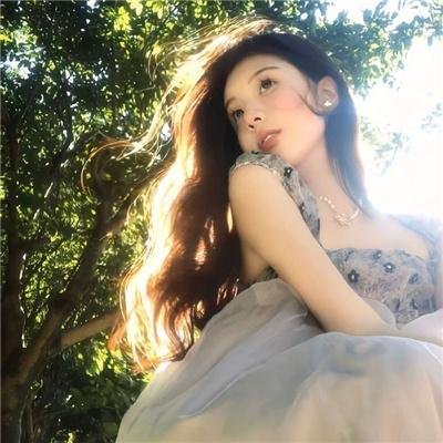 海豚之眼